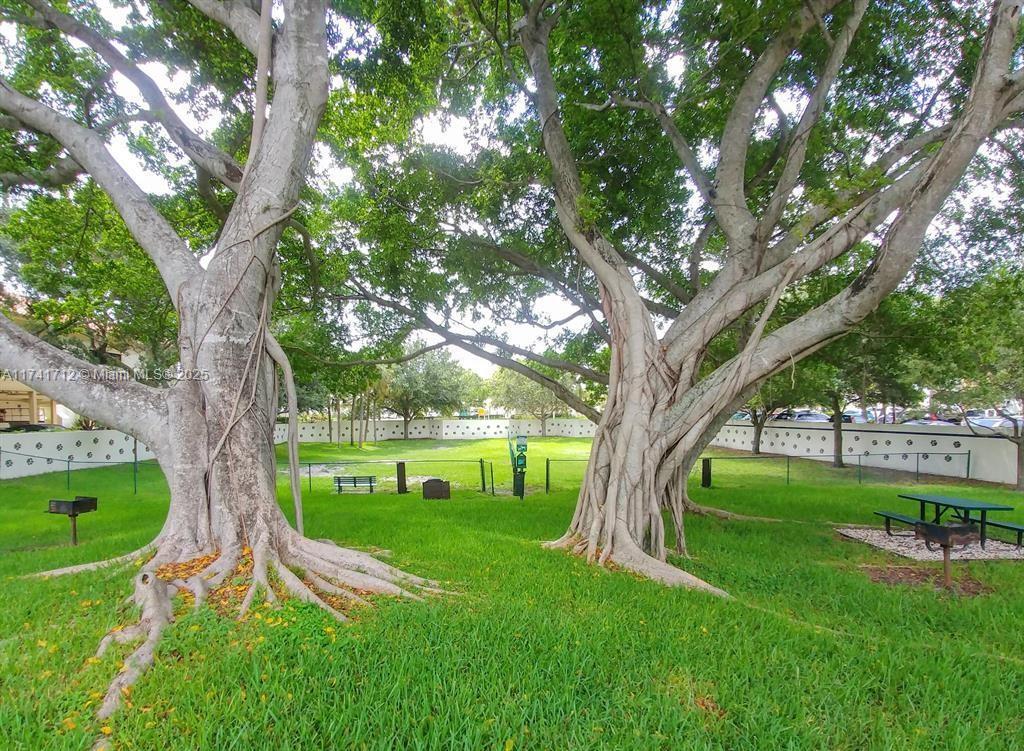 3355 Jaywood Terrace, Unit J113 Boca Raton, FL 33431 - Photo 31 of 44 dogpark1