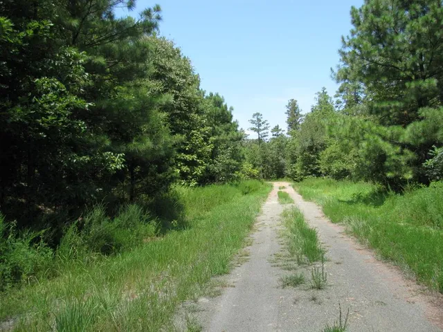 a view of a lake with a yard