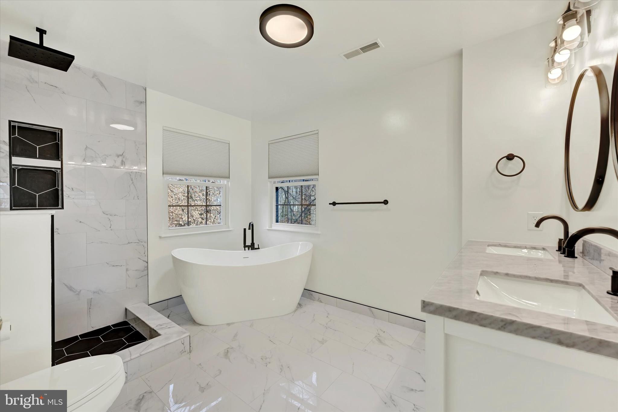 1590 Chapman Road Crofton, MD 21054 - Photo 23 of 70 a bathroom with a sink a mirror and a bathtub