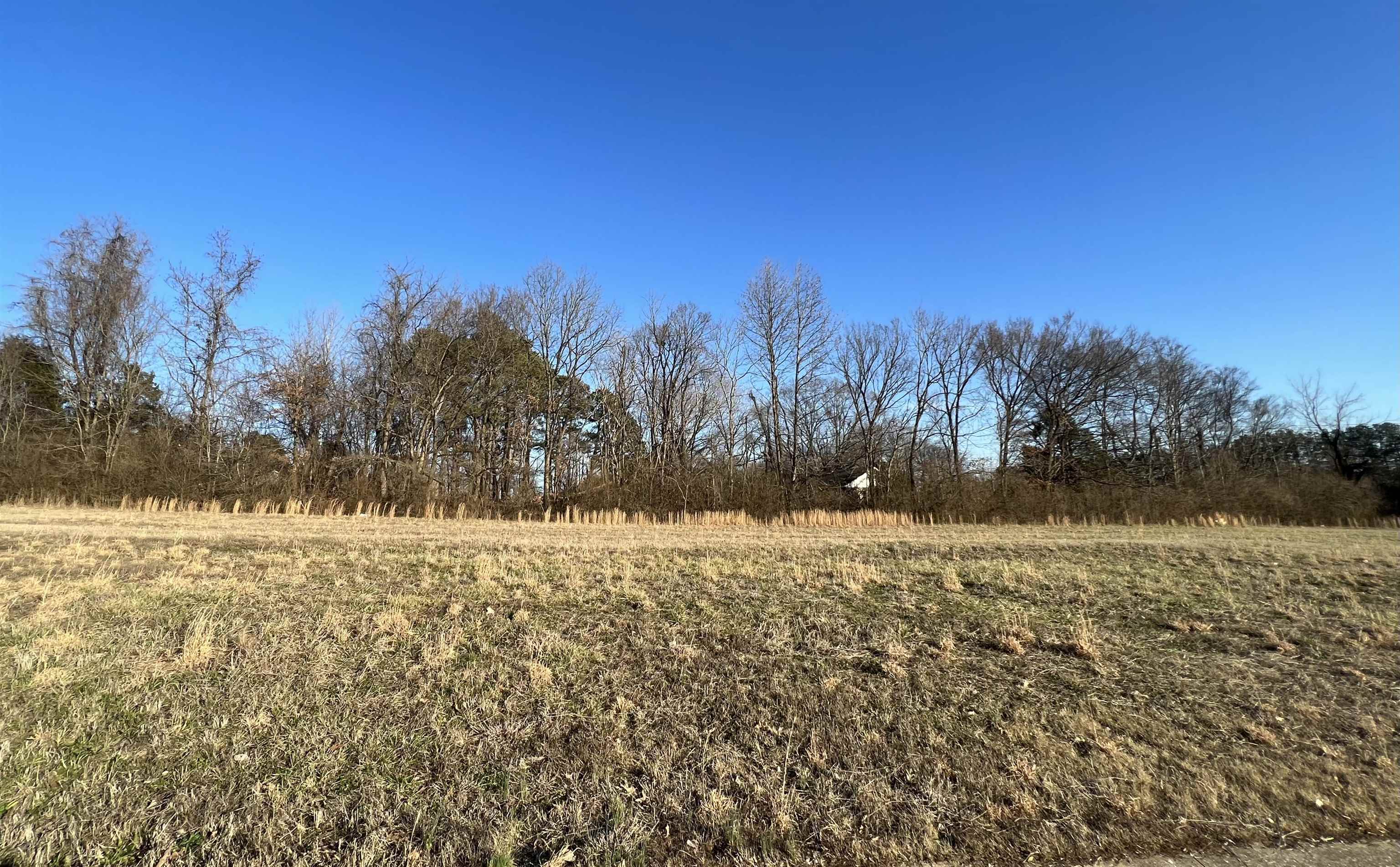 51 York Commons Road Ripley, TN 38063 - Photo 1 of 6 a view of ocean view with mountain