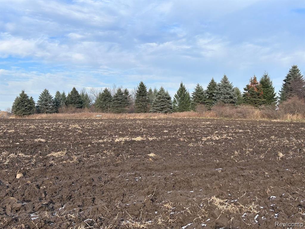 Vl Vl Suewier Road Applegate, MI 48401 - Photo 6 of 11