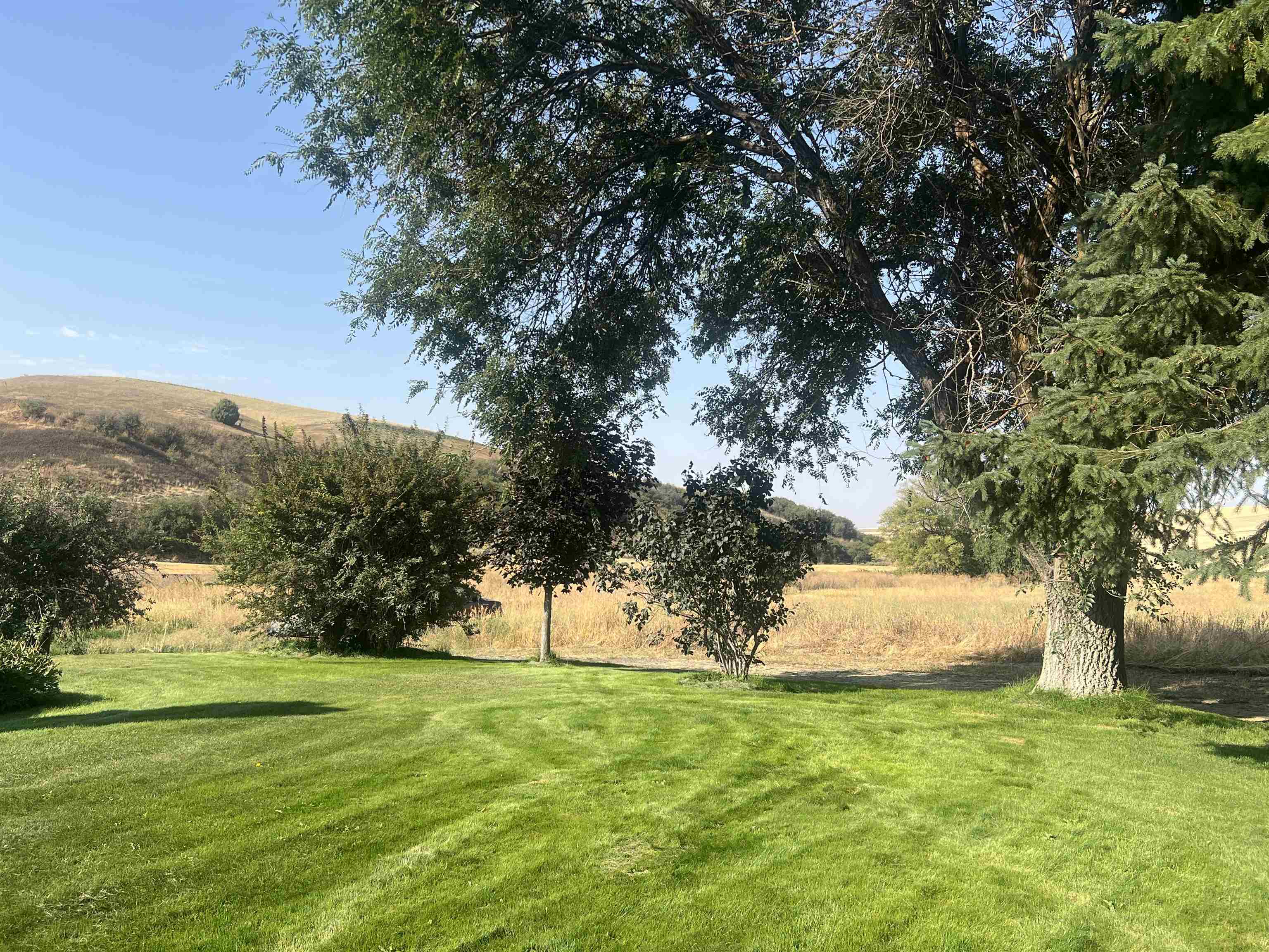 451 Sunset Road St. John, WA 99171 - Photo 26 of 45