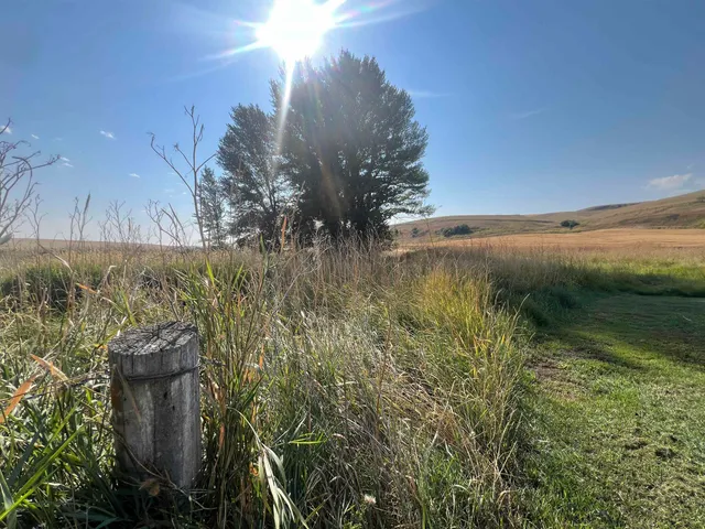 $470,000 | 451 Sunset Road, St. John, WA 99171