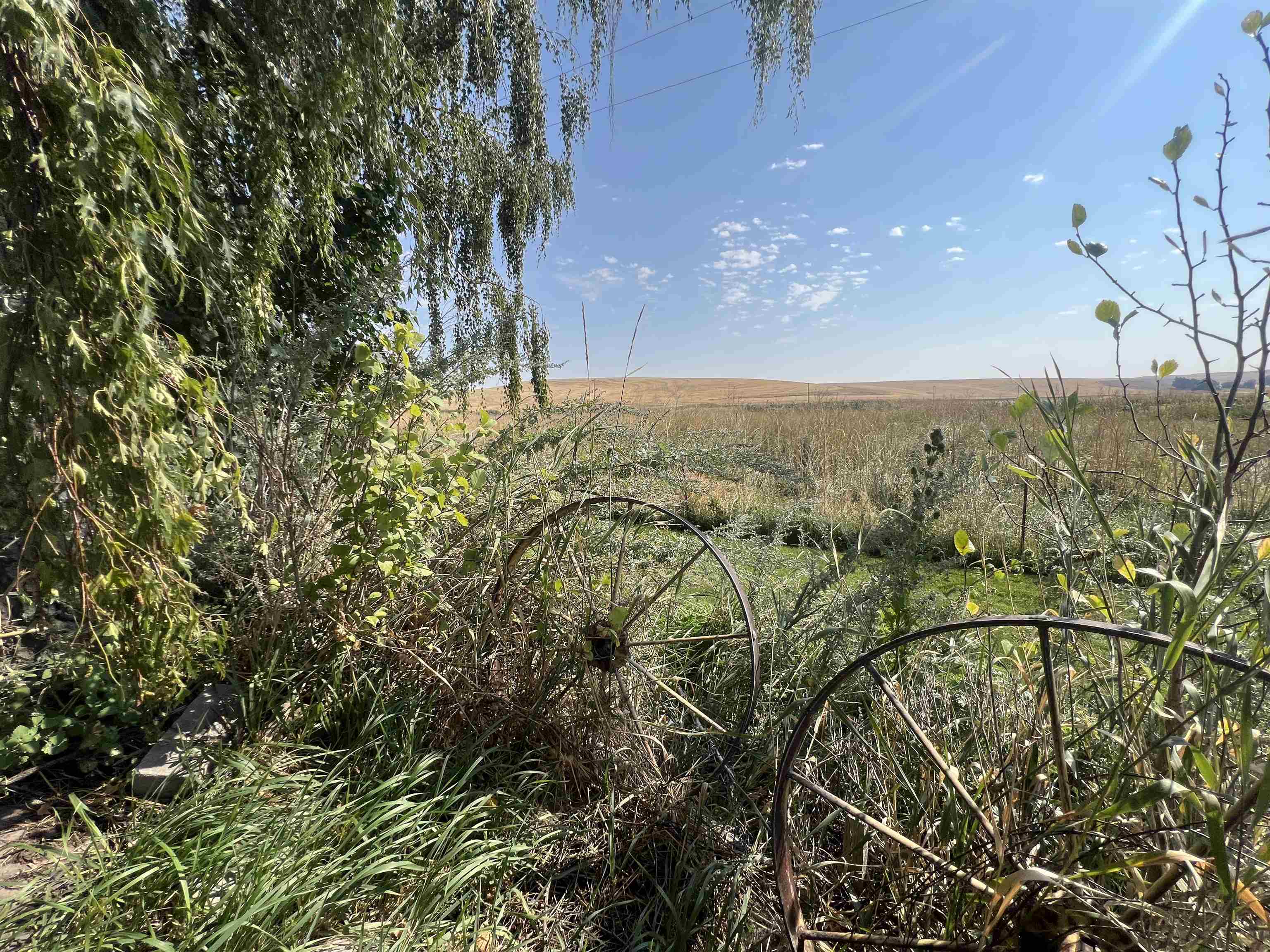 451 Sunset Road St. John, WA 99171 - Photo 30 of 45