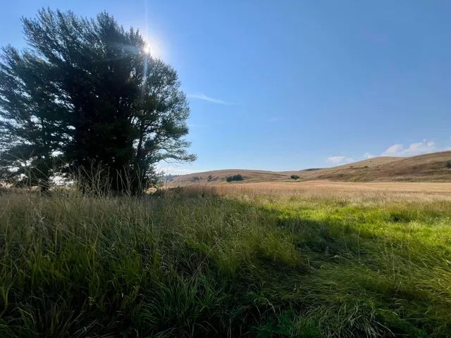 $470,000 | 451 Sunset Road, St. John, WA 99171