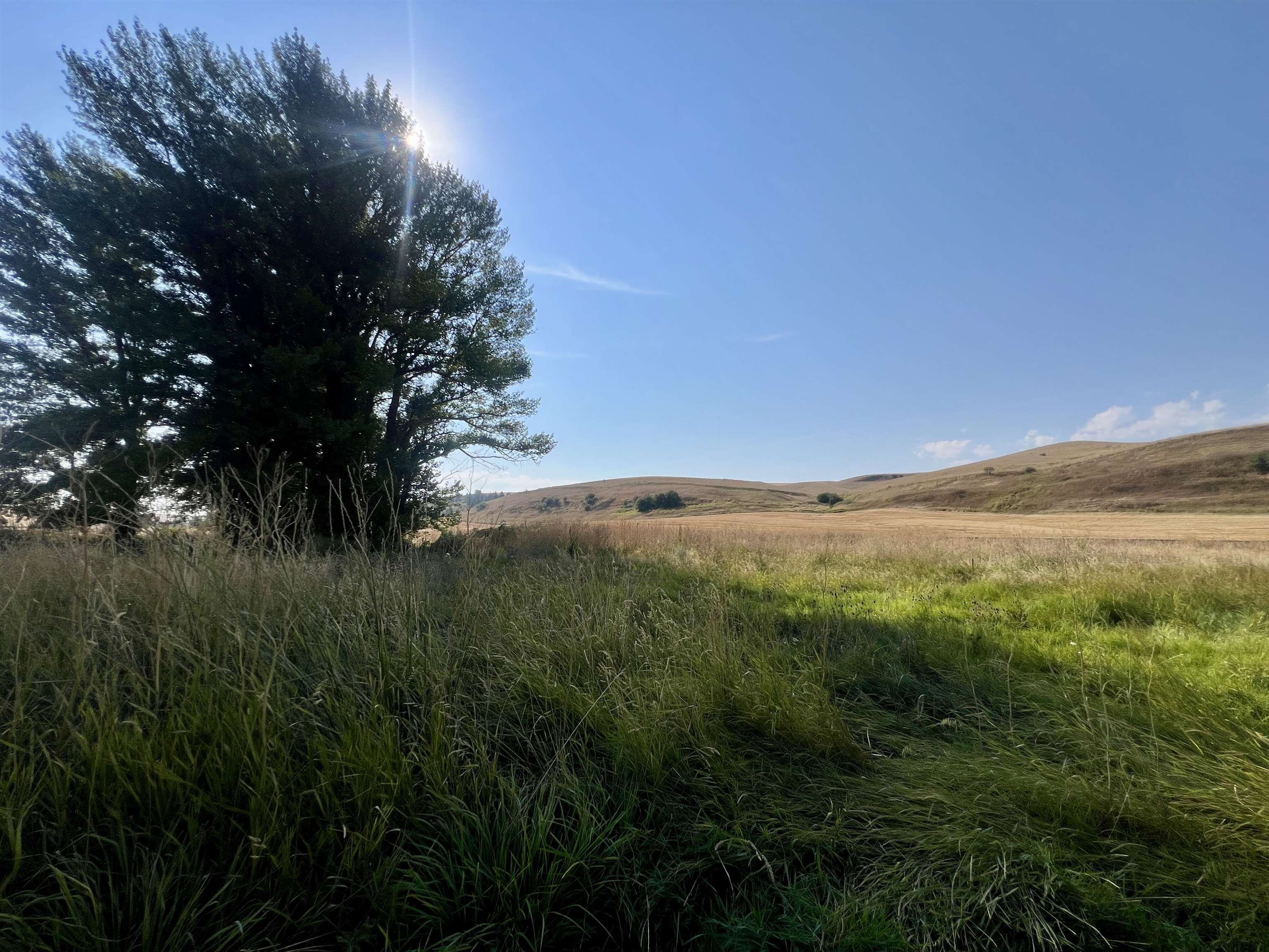 451 Sunset Road St. John, WA 99171 - Photo 34 of 45