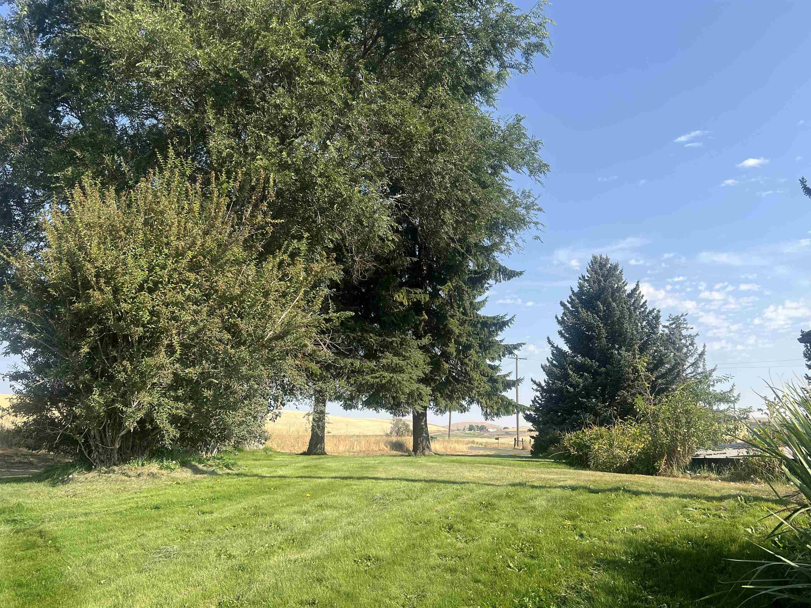 451 Sunset Road St. John, WA 99171 - Photo 35 of 45