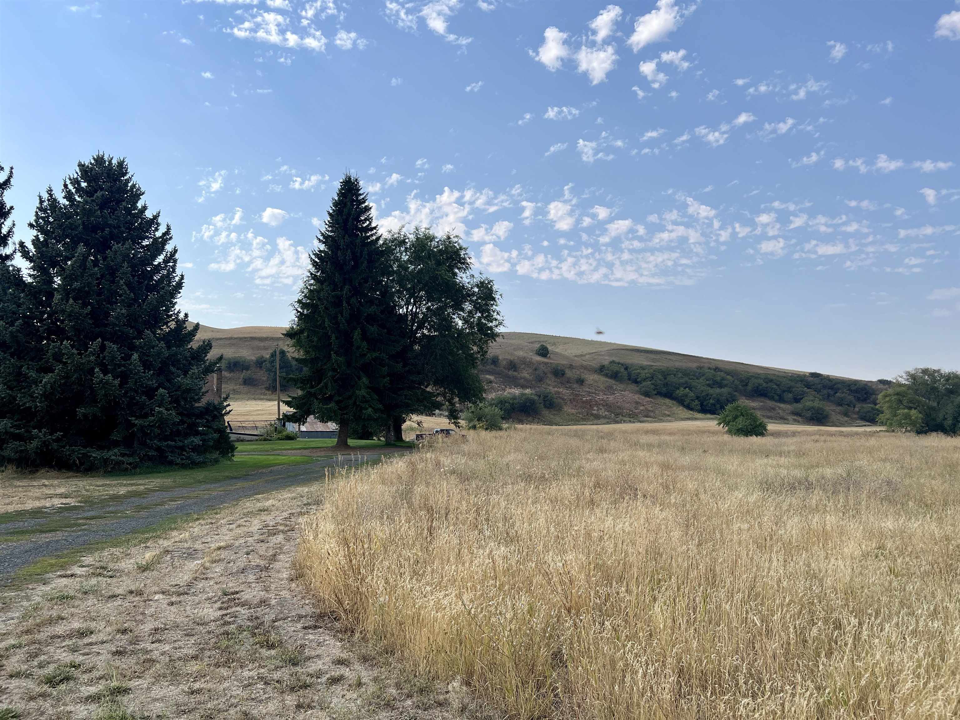 451 Sunset Road St. John, WA 99171 - Photo 39 of 45