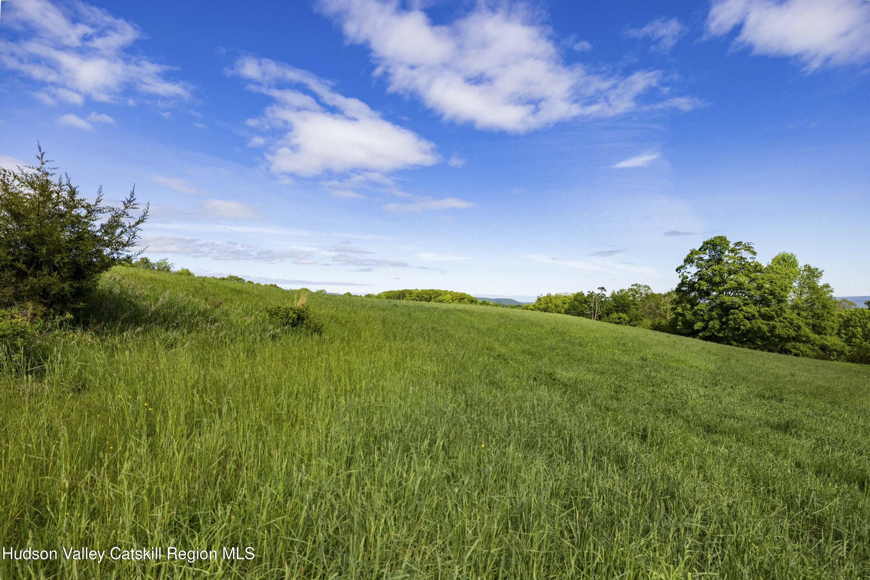 15 Red Rock Road Grahamsville, NY 12740 - Photo 3 of 10 a view of a lush green space with sea