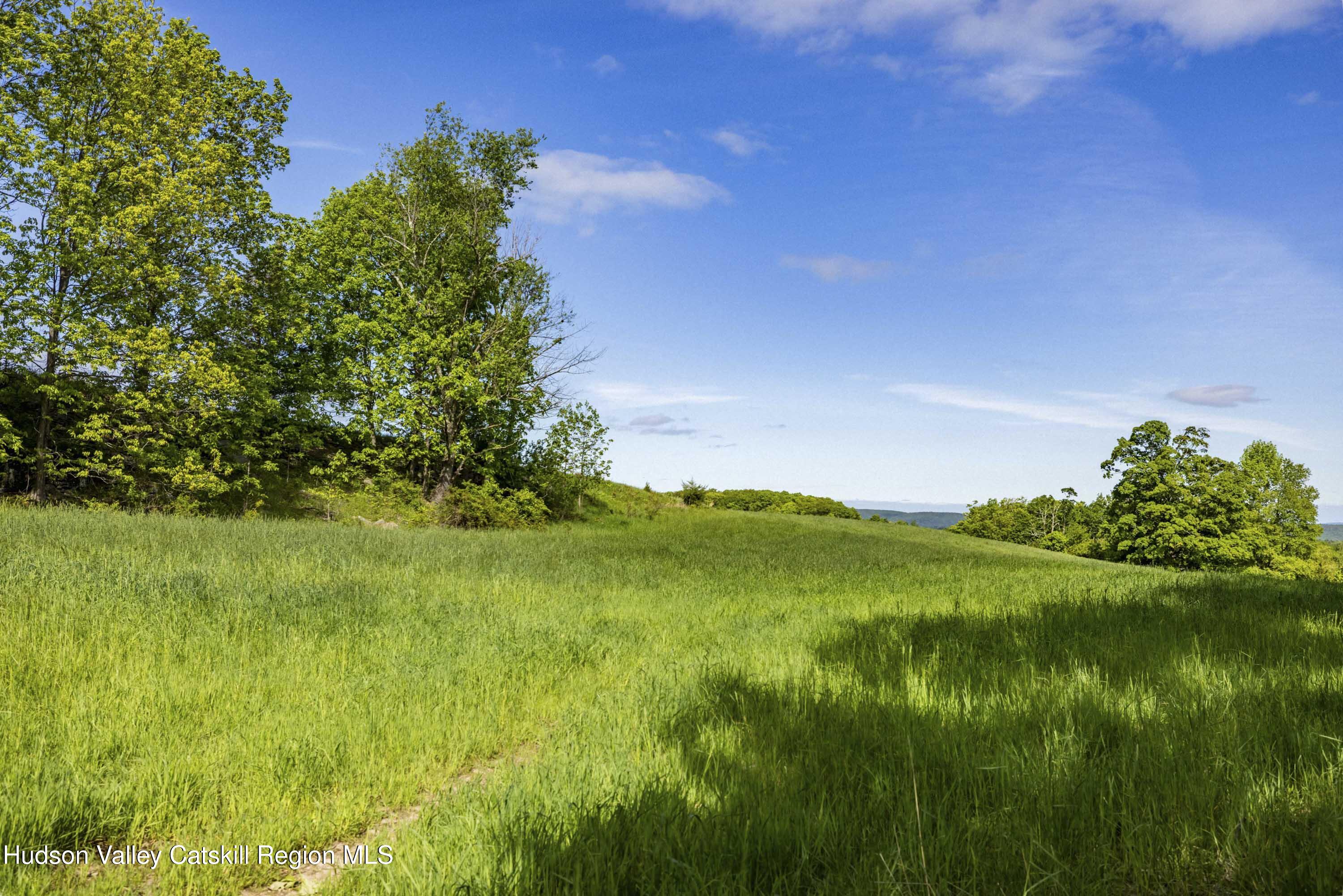 15 Red Rock Road Grahamsville, NY 12740 - Photo 5 of 10 a view of a big yard with a large tree
