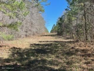 South Cole Road Mendenhall, MS 39114 - Photo 1 of 23 Pipeline lane
