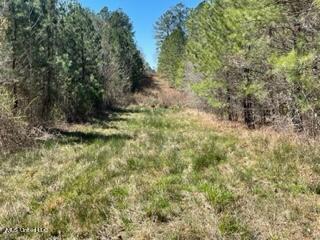 South Cole Road Mendenhall, MS 39114 - Photo 8 of 23 thumbnail_IMG_5167