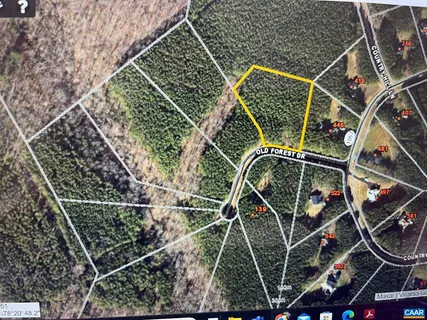 $110,000 | Lot 61 Old Forest Drive, Palmyra, VA 22963