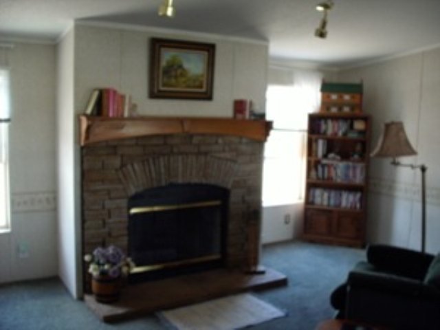 2197 Meadow Lane Overgaard, AZ 85933 - Photo 3 of 5
