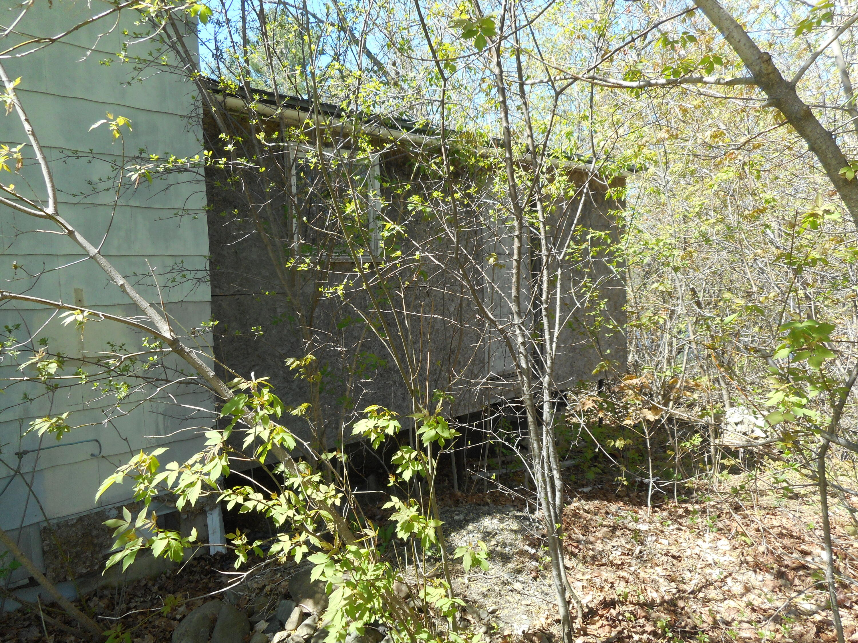 36 Hayes Street Old Town, ME 04468 - Photo 6 of 22 DSCN1840