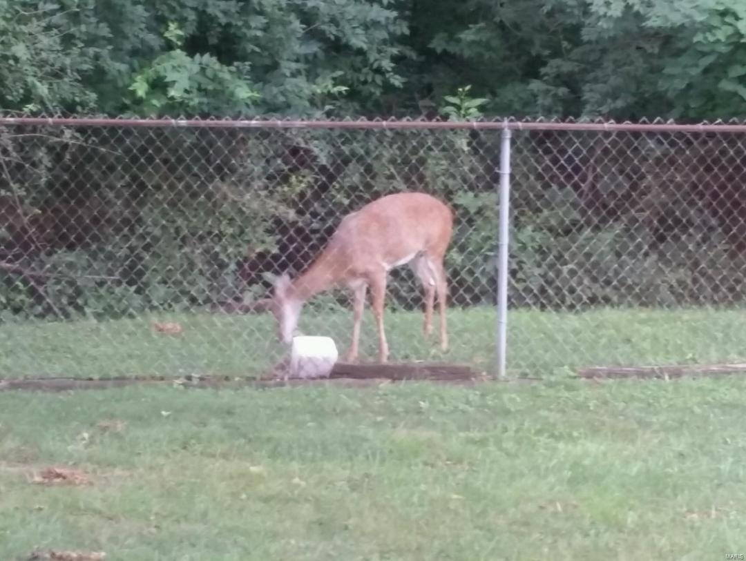 2915 Bee Tree Lane St. Louis, MO 63129 - Photo 31 of 31