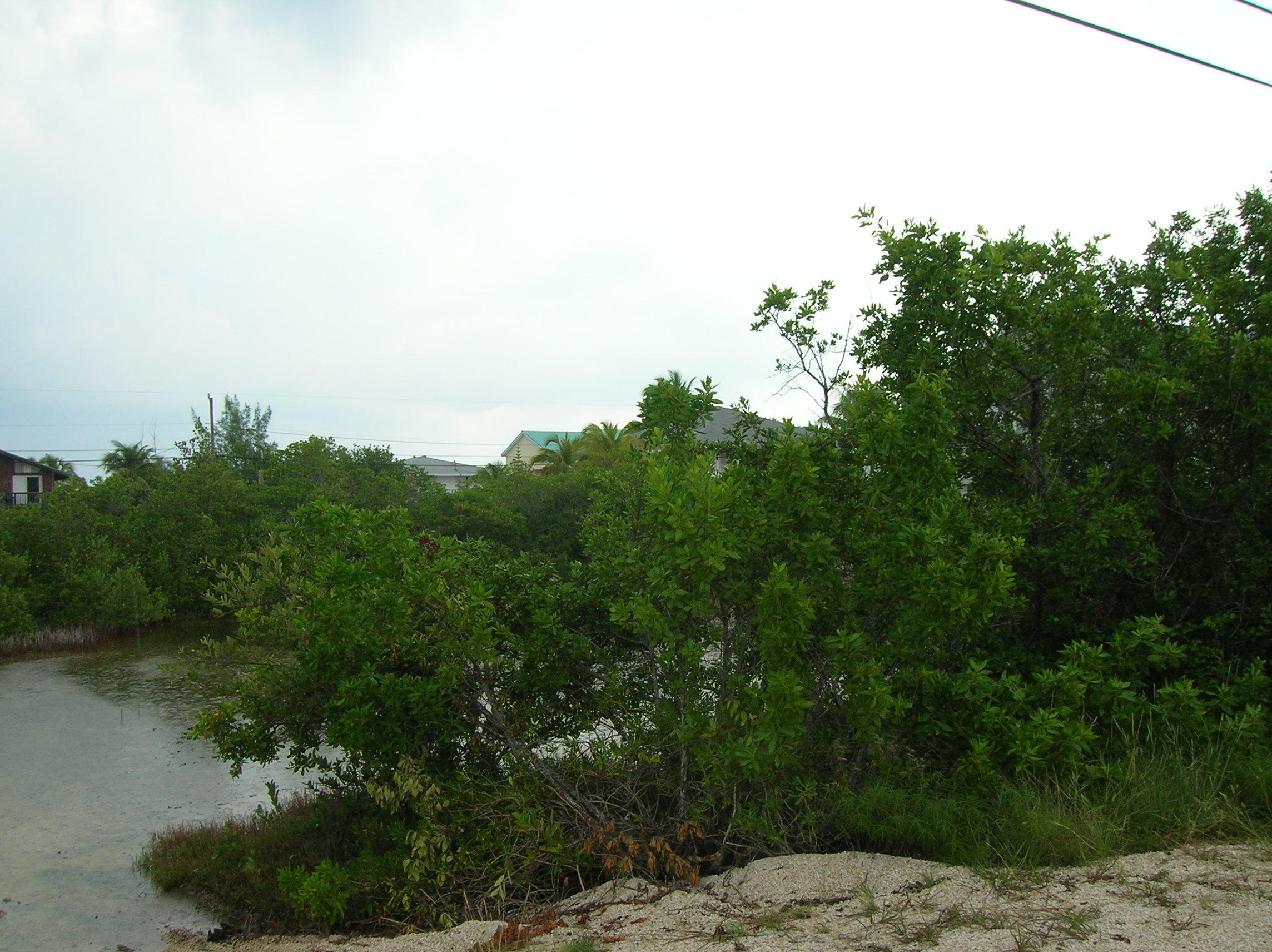Canal Front Lot