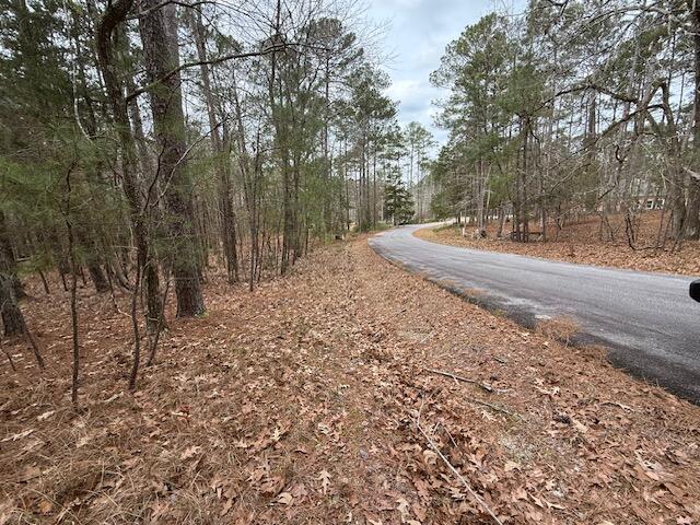 5-b 7 Windy Circle McCormick, SC 29835 - Photo 5 of 5 Windy 2