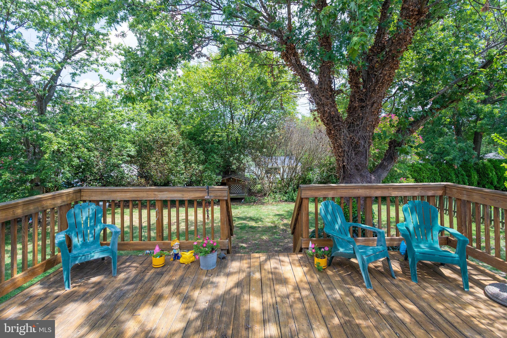 6103 Craft Road Alexandria, VA 22310 - Photo 39 of 44