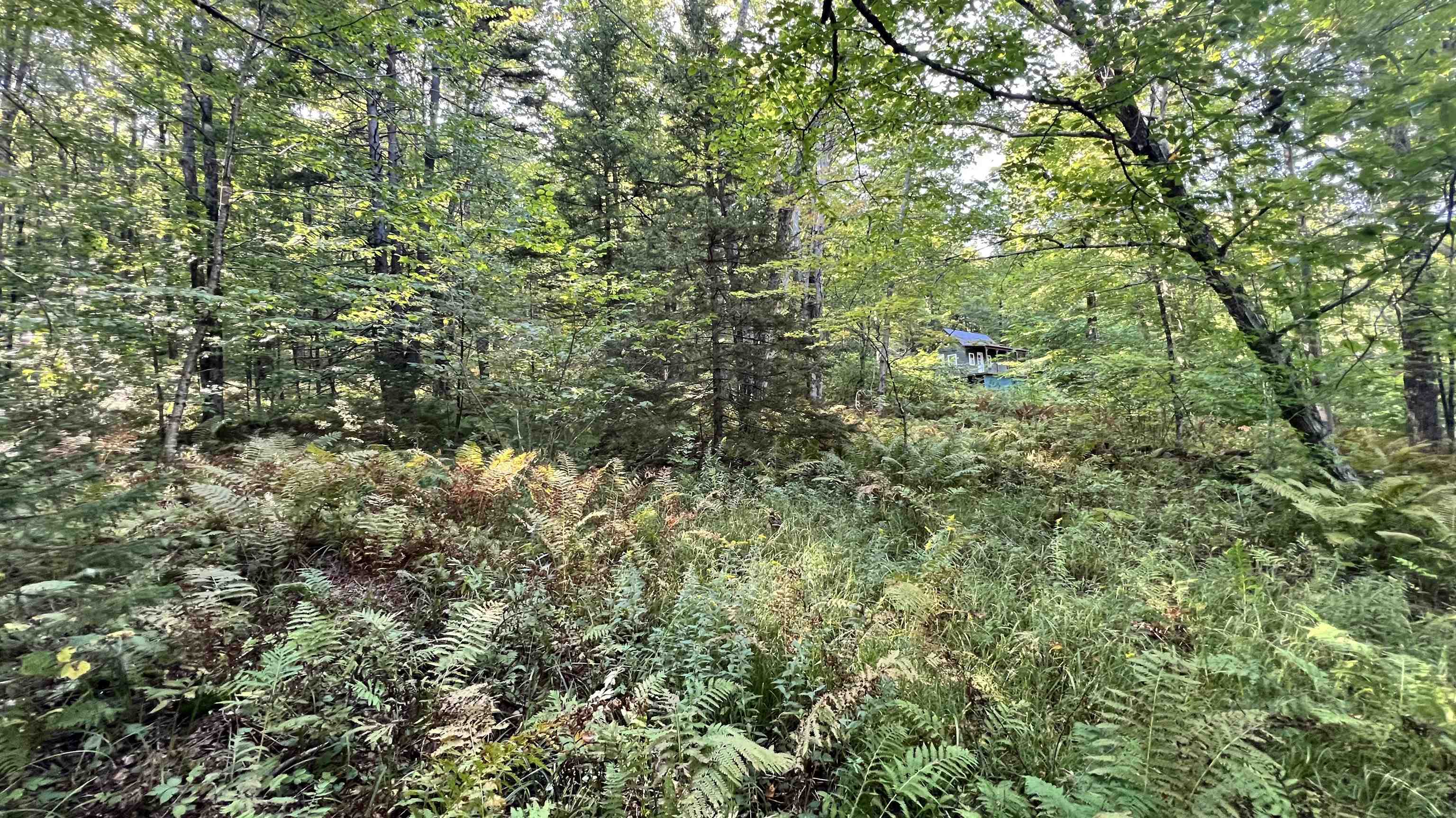 2075 Codding Hollow Road Johnson, VT 05656 - Photo 56 of 59