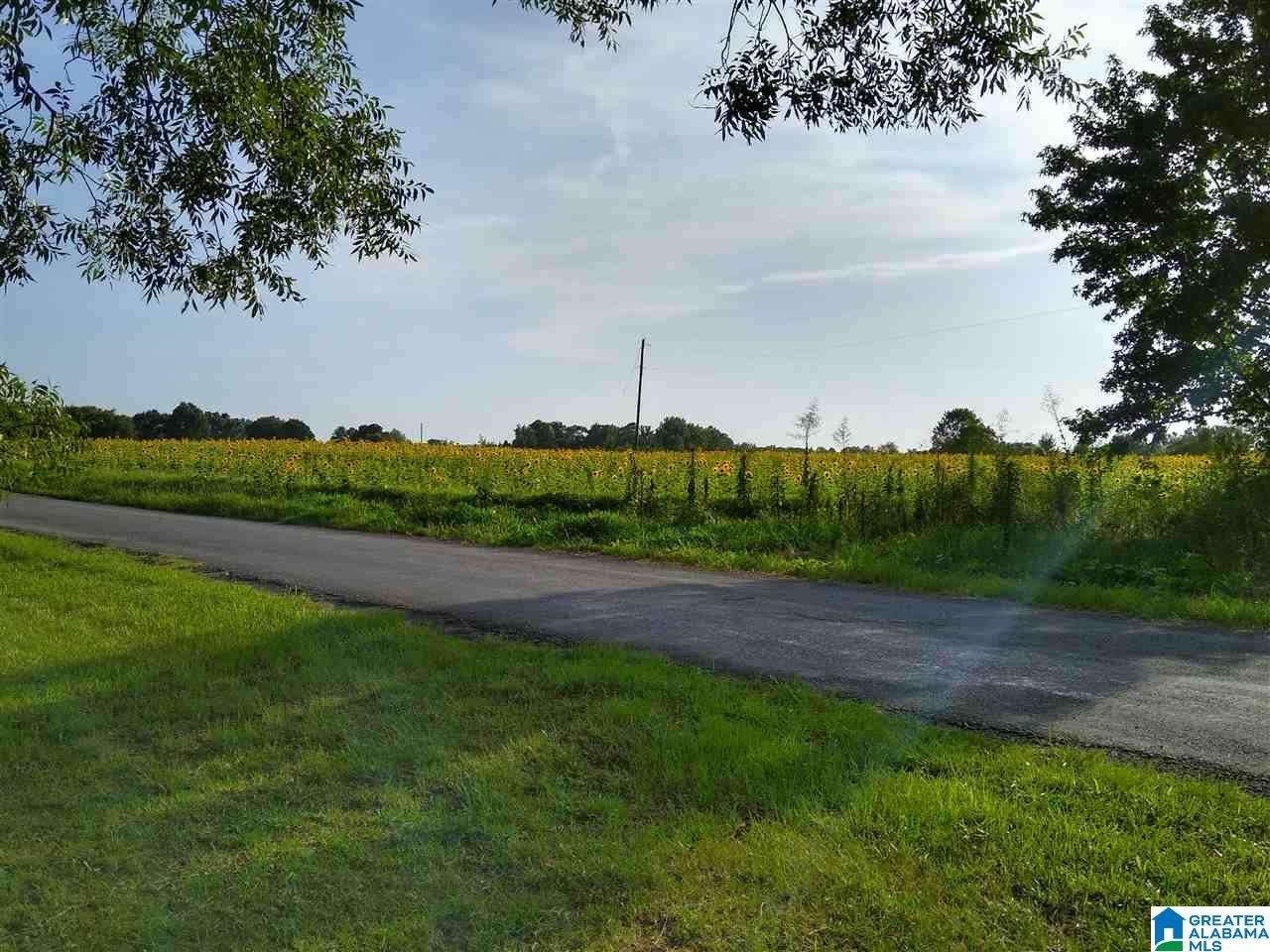 1574 Kornegay Road Oneonta, AL 35121 - Photo 32 of 34