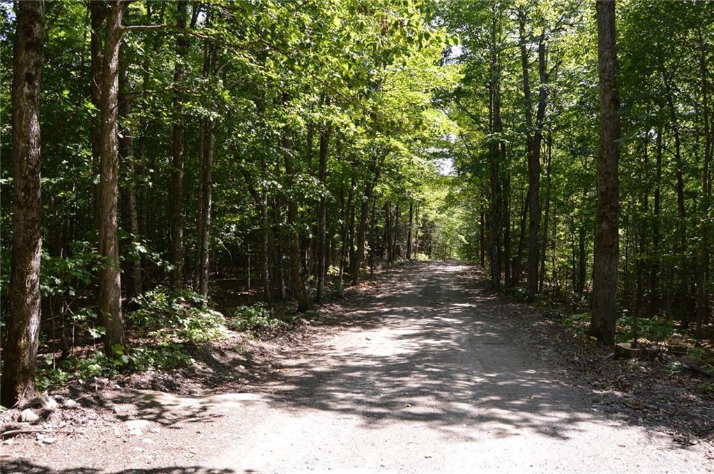 0 High Cut Road Garland, ME 04939 - Photo 1 of 16 Photo