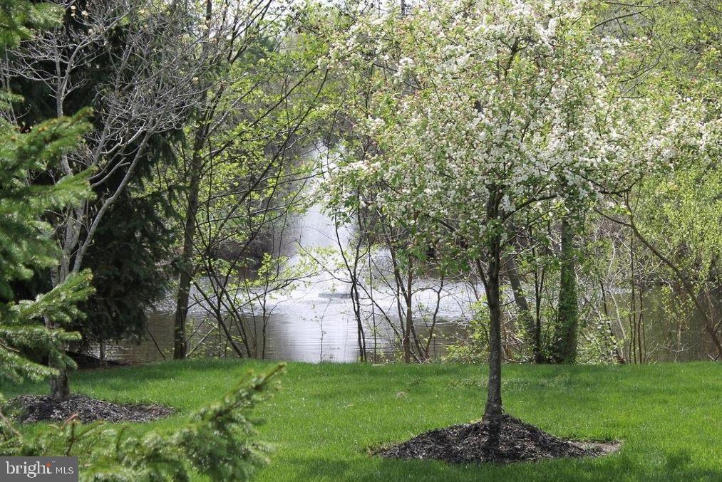 45 Caleb Lane Princeton, NJ 08540 - Photo 22 of 22