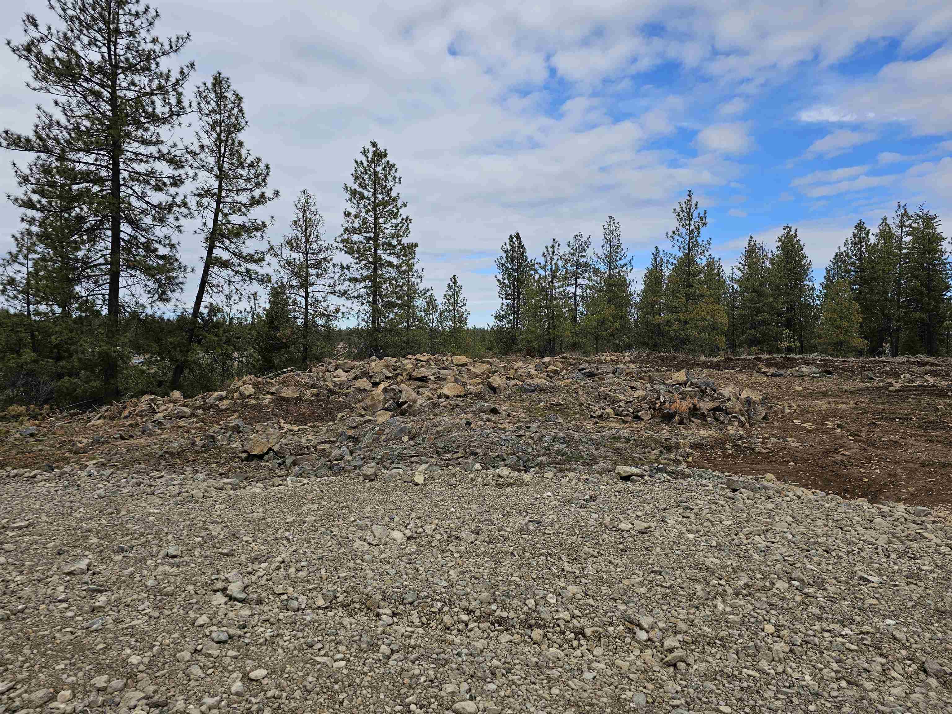 18324 West Burnett Road Nine Mile Falls, WA 99026 - Photo 6 of 34
