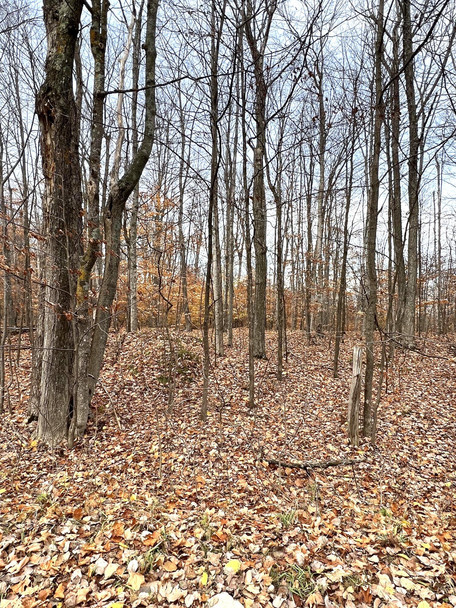 2768 Division Road Pellston, MI 49769 - Photo 4 of 15 Gallery Image 4