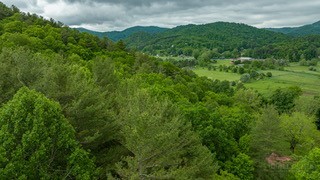 6 Walnut Ridge Road Vilas, NC 28692 - Photo 8 of 12 a view of a lush green forest with lots of trees