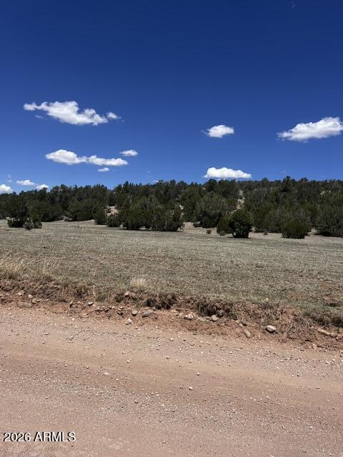 Lot 15 Juniper Mtn Ranches, Unit 15 Seligman, AZ 86337 - Photo 4 of 13 a view of a lake