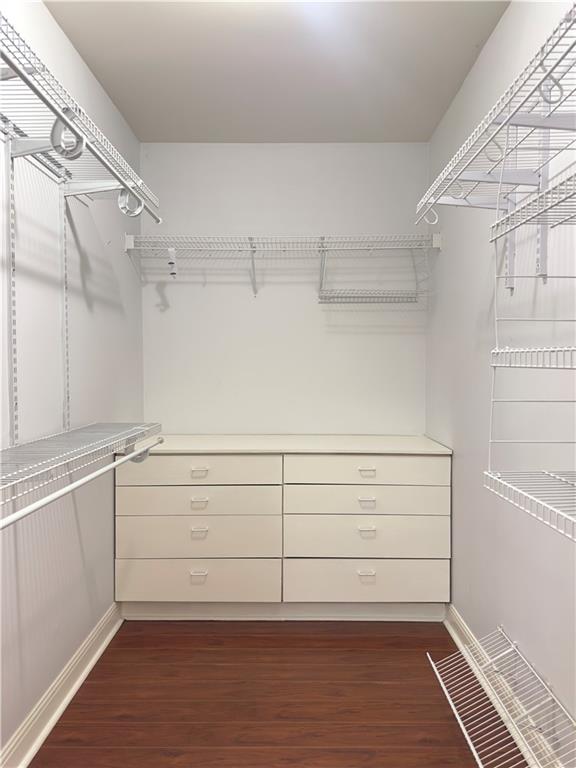 335 Canvasback Trail Locust Grove, GA 30248 - Photo 65 of 91 a view of an empty walk in closet