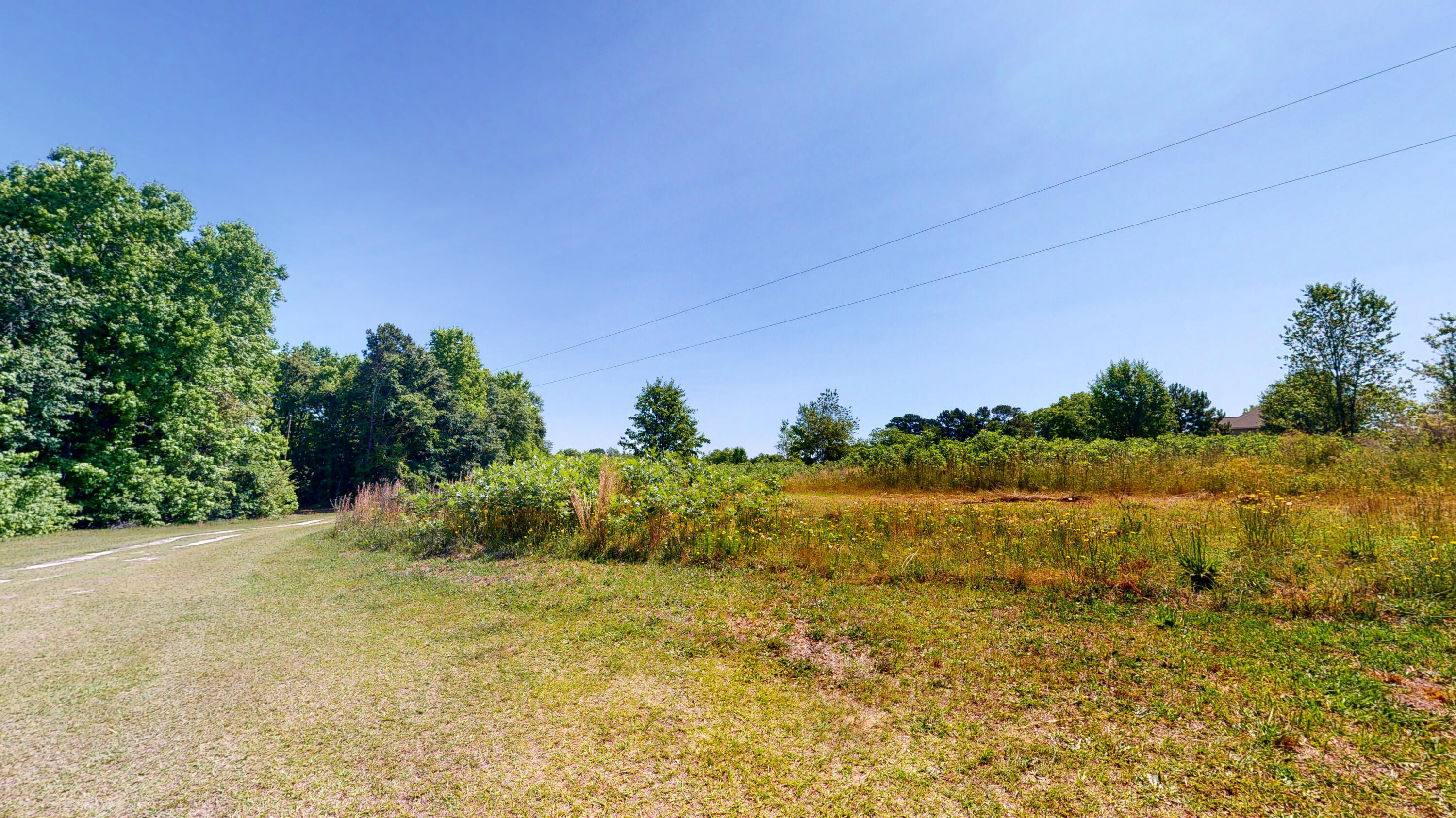 260 Holmes Pond Road Johnston, SC 29832 - Photo 3 of 16