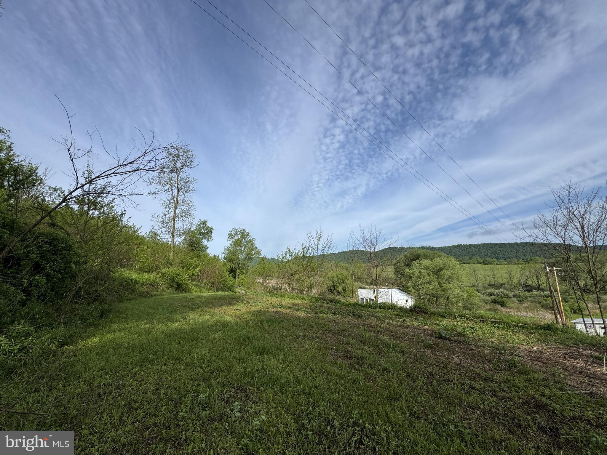 2781 Buffalo Run Road Bellefonte, PA 16823 - Photo 3 of 17 a view of a field with an trees