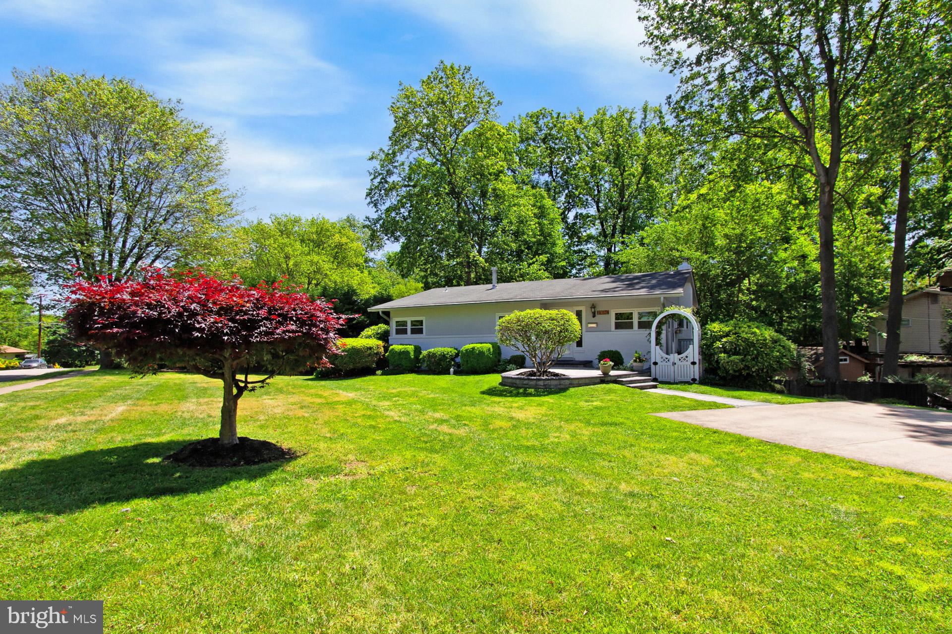 6323 Alberta Street Springfield, VA 22152 - Photo 2 of 63 Nice, level front yard