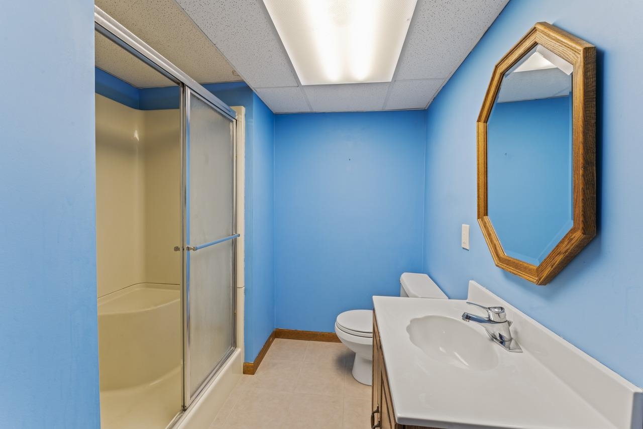13580 South Horrell Road Fenton, MI 48430 - Photo 21 of 30 Lower Level Bathroom