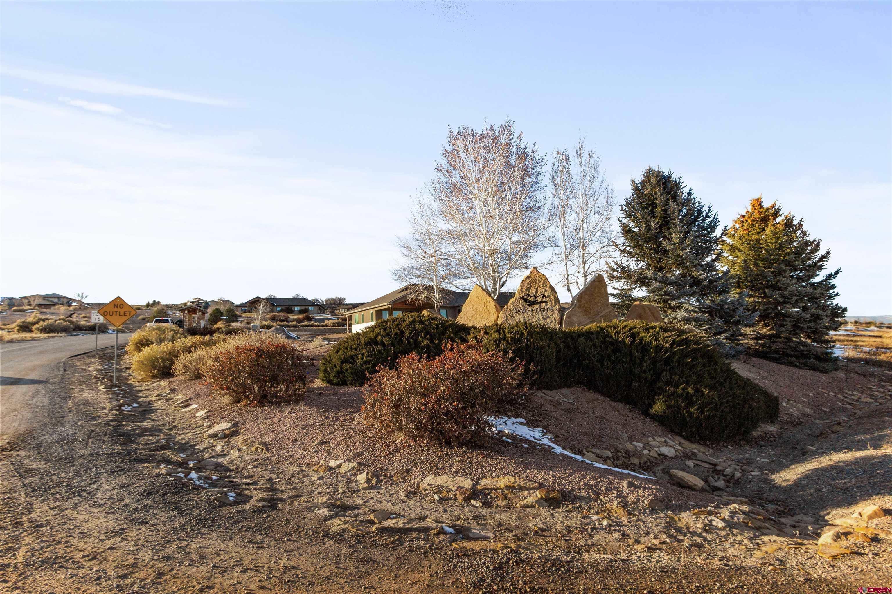 Lot 9 Lone Eagle Road Montrose, CO 81403 - Photo 19 of 21 a view of a dry yard with trees