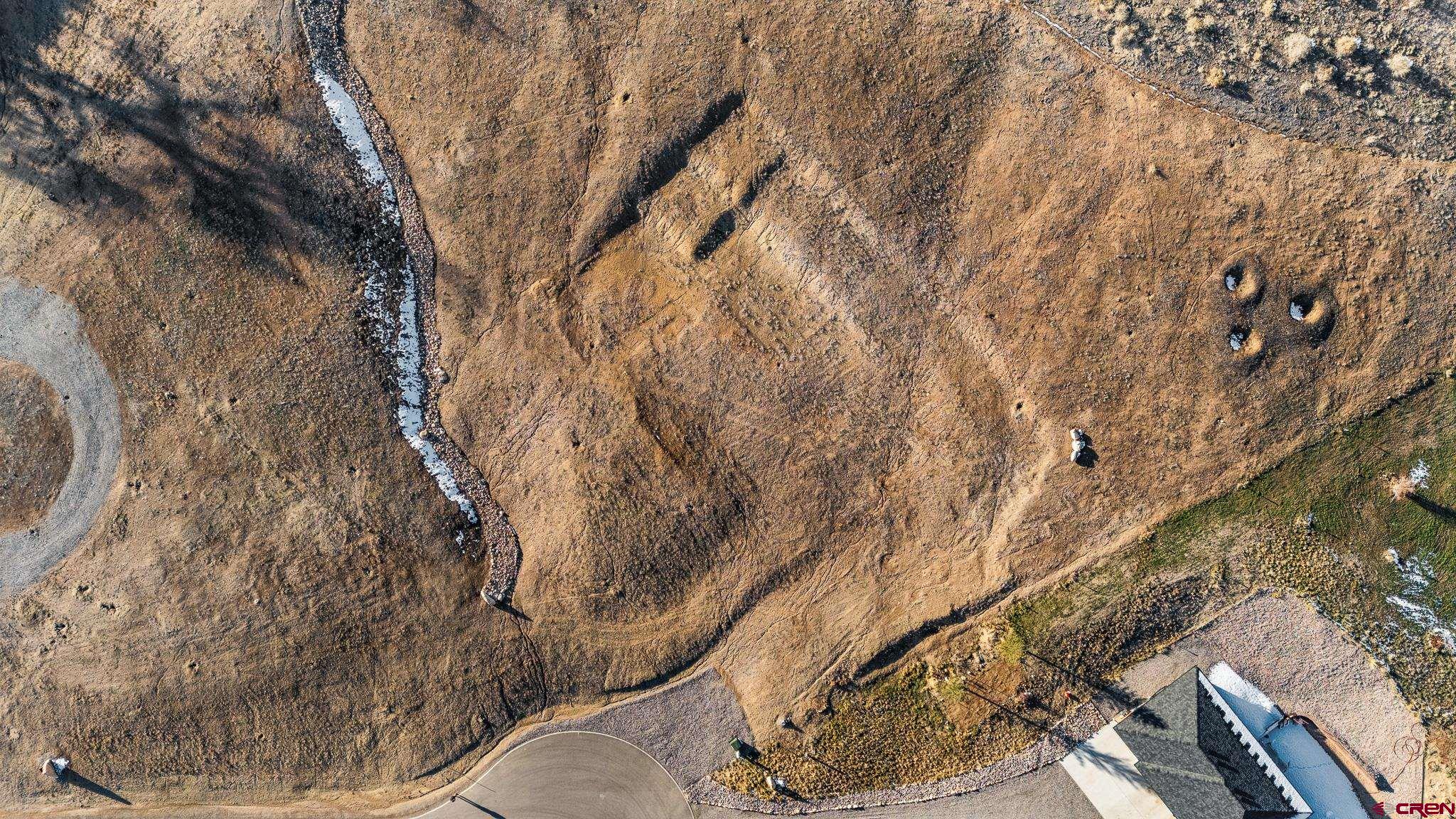 Lot 9 Lone Eagle Road Montrose, CO 81403 - Photo 4 of 21 a picture of tree