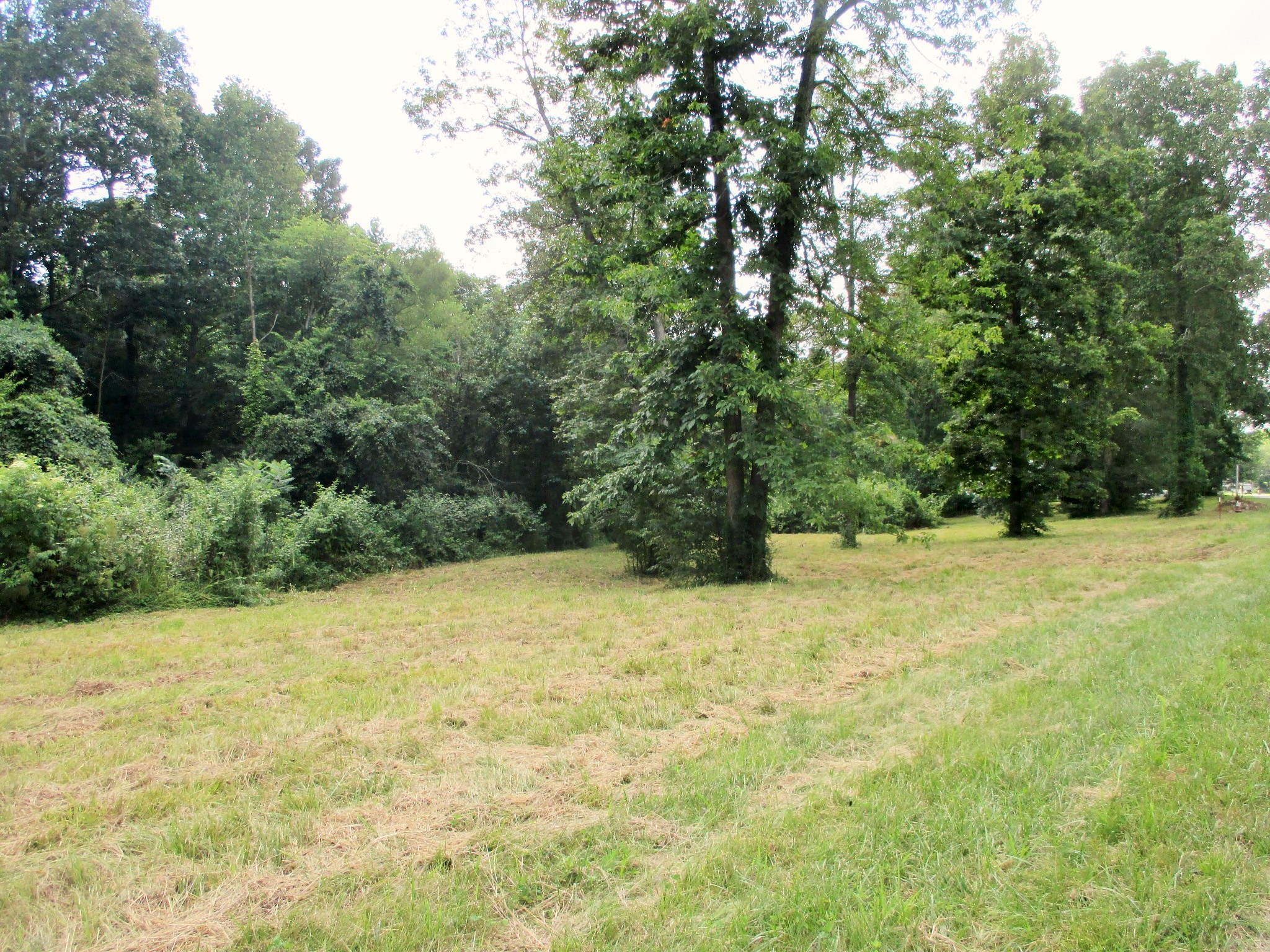 0 Spring Meadows Lane Morrison, TN 37357 - Photo 2 of 23 a view of a yard with a trees