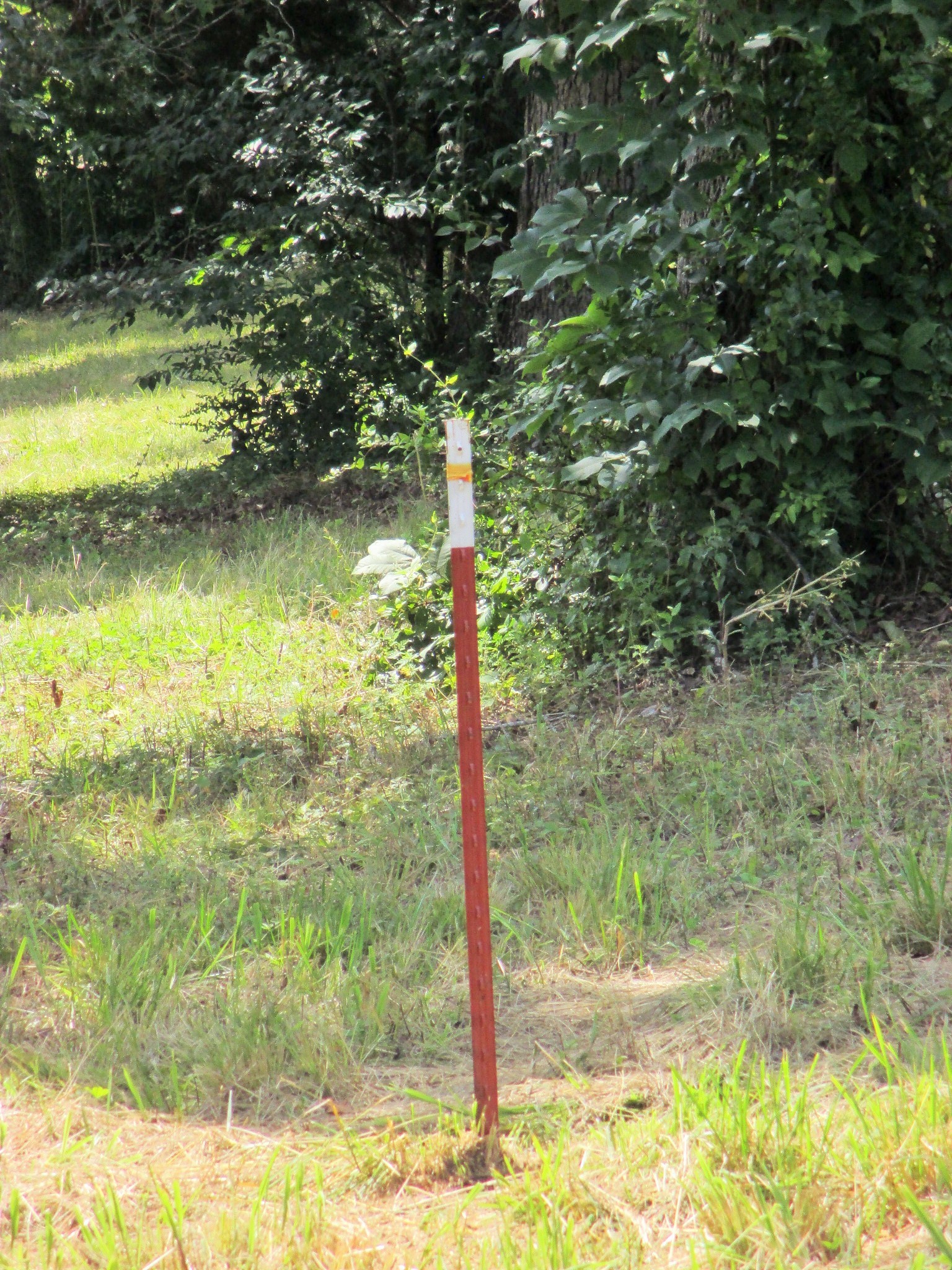 0 Spring Meadows Lane Morrison, TN 37357 - Photo 15 of 23 a view of a yard with a tree