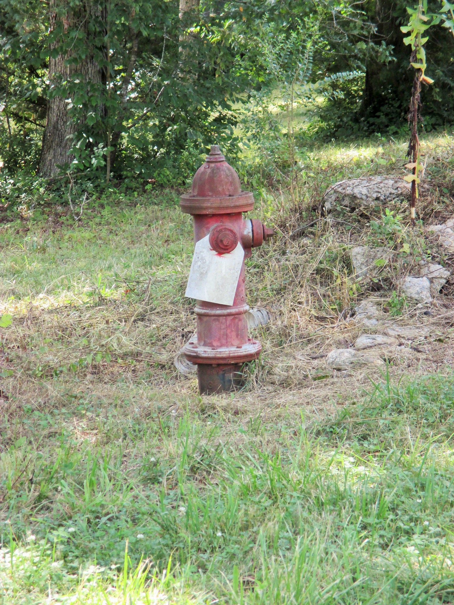 0 Spring Meadows Lane Morrison, TN 37357 - Photo 16 of 23 a fire hydrant in the middle of a field