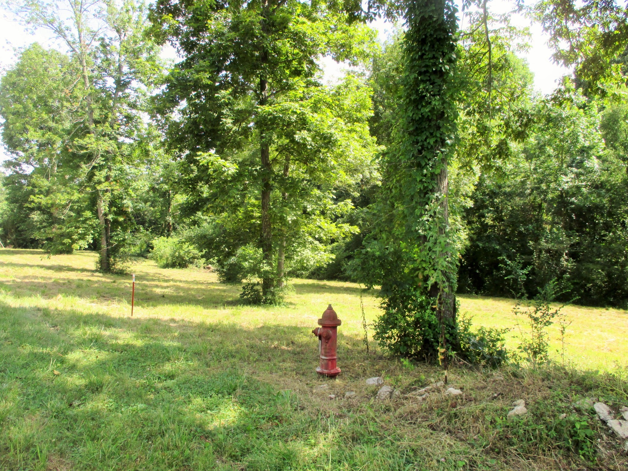 0 Spring Meadows Lane Morrison, TN 37357 - Photo 17 of 23 a backyard of a house with a yard and swimming pool