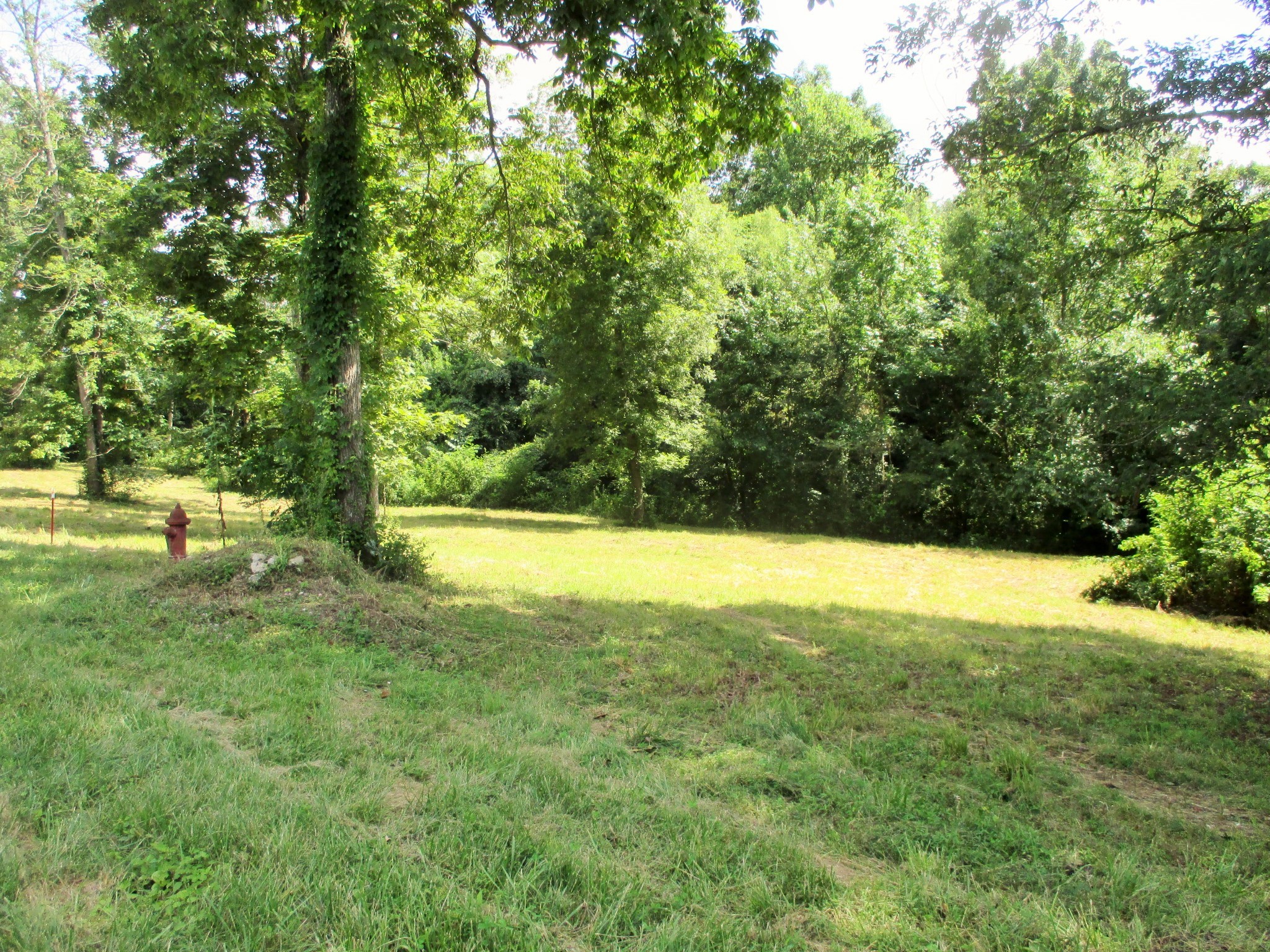 0 Spring Meadows Lane Morrison, TN 37357 - Photo 18 of 23 a view of yard with green space