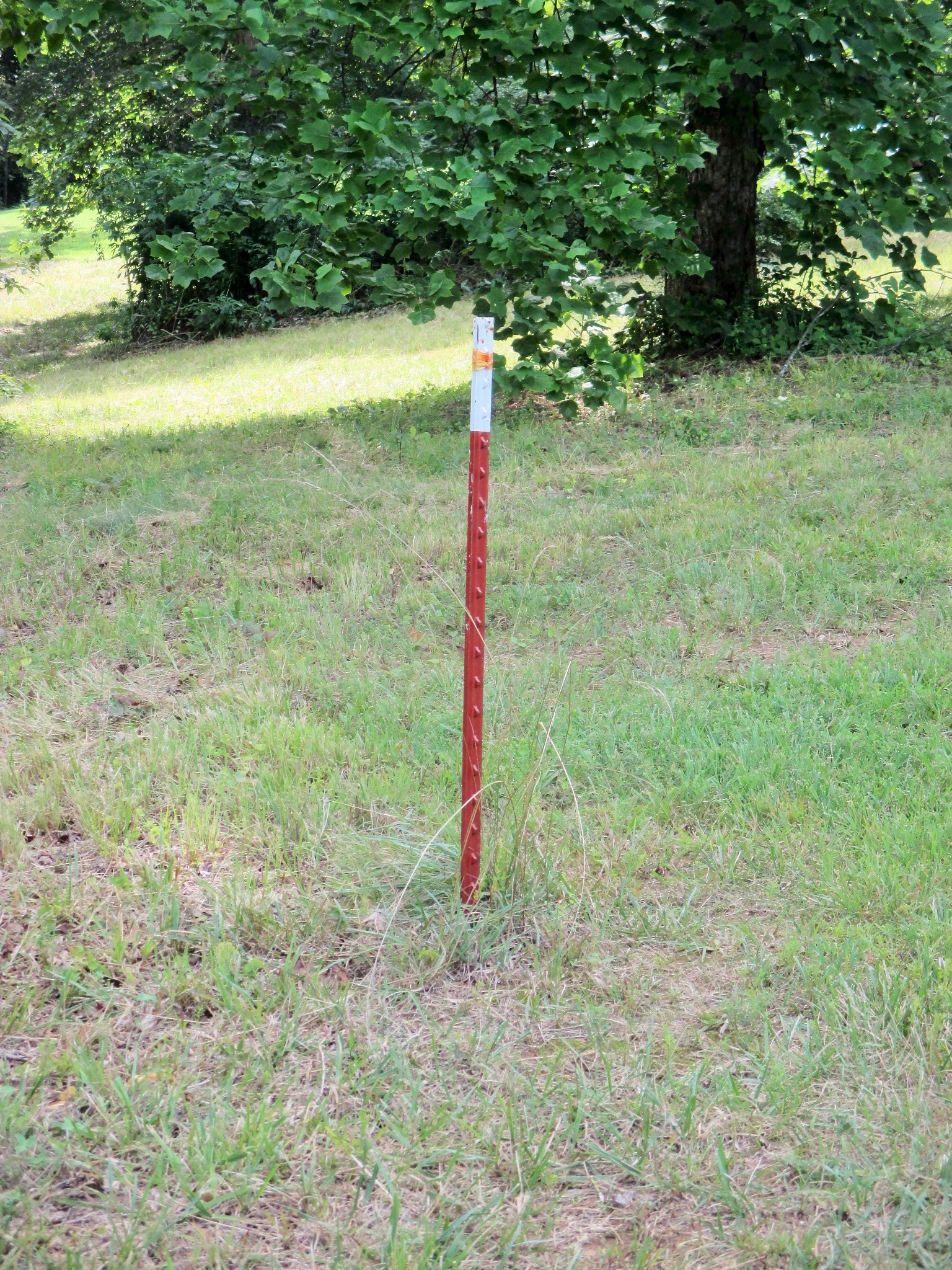 0 Spring Meadows Lane Morrison, TN 37357 - Photo 19 of 23 a flag is sitting in the middle of a yard with large trees