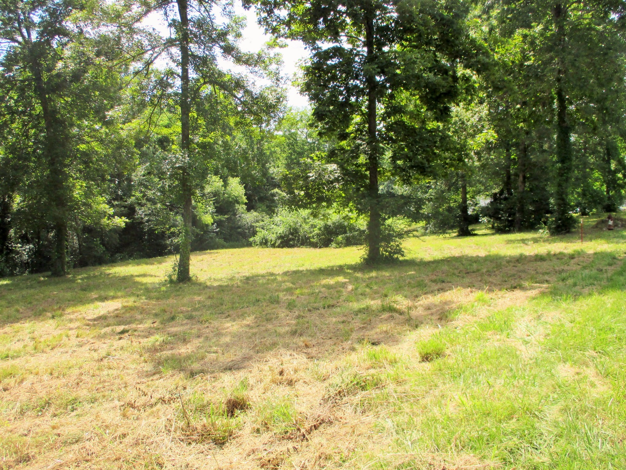 0 Spring Meadows Lane Morrison, TN 37357 - Photo 3 of 23 a view of yard with swimming pool