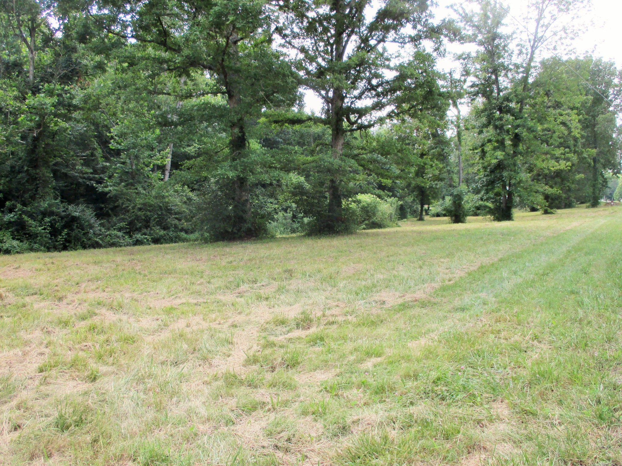 0 Spring Meadows Lane Morrison, TN 37357 - Photo 4 of 23 a view of outdoor space and yard