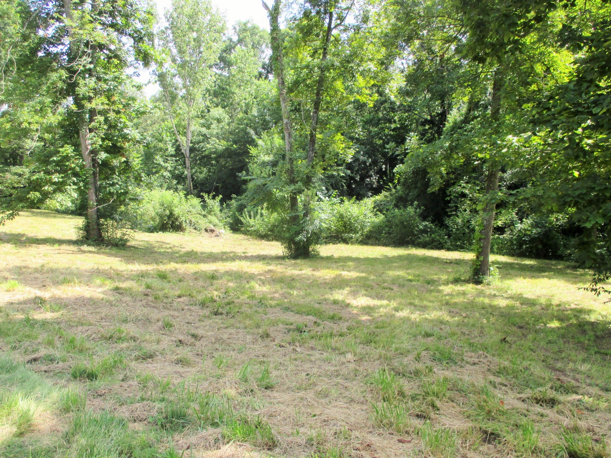 0 Spring Meadows Lane Morrison, TN 37357 - Photo 6 of 23 a view of yard with green space