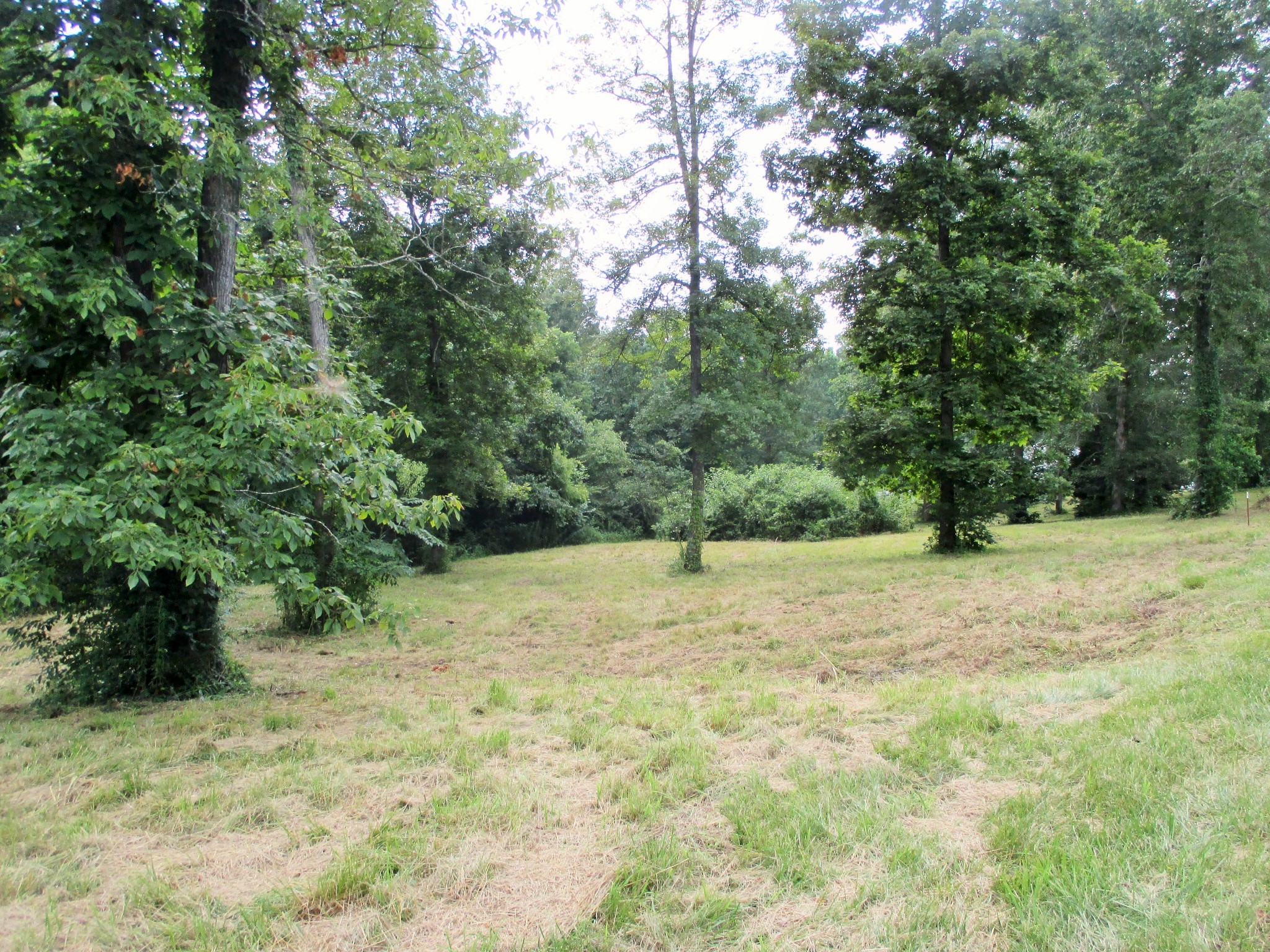 0 Spring Meadows Lane Morrison, TN 37357 - Photo 7 of 23 a view of a yard with a tree
