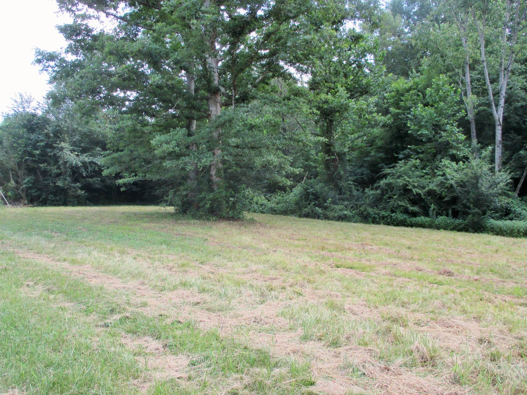 0 Spring Meadows Lane Morrison, TN 37357 - Photo 8 of 23 a view of outdoor space with a lake view