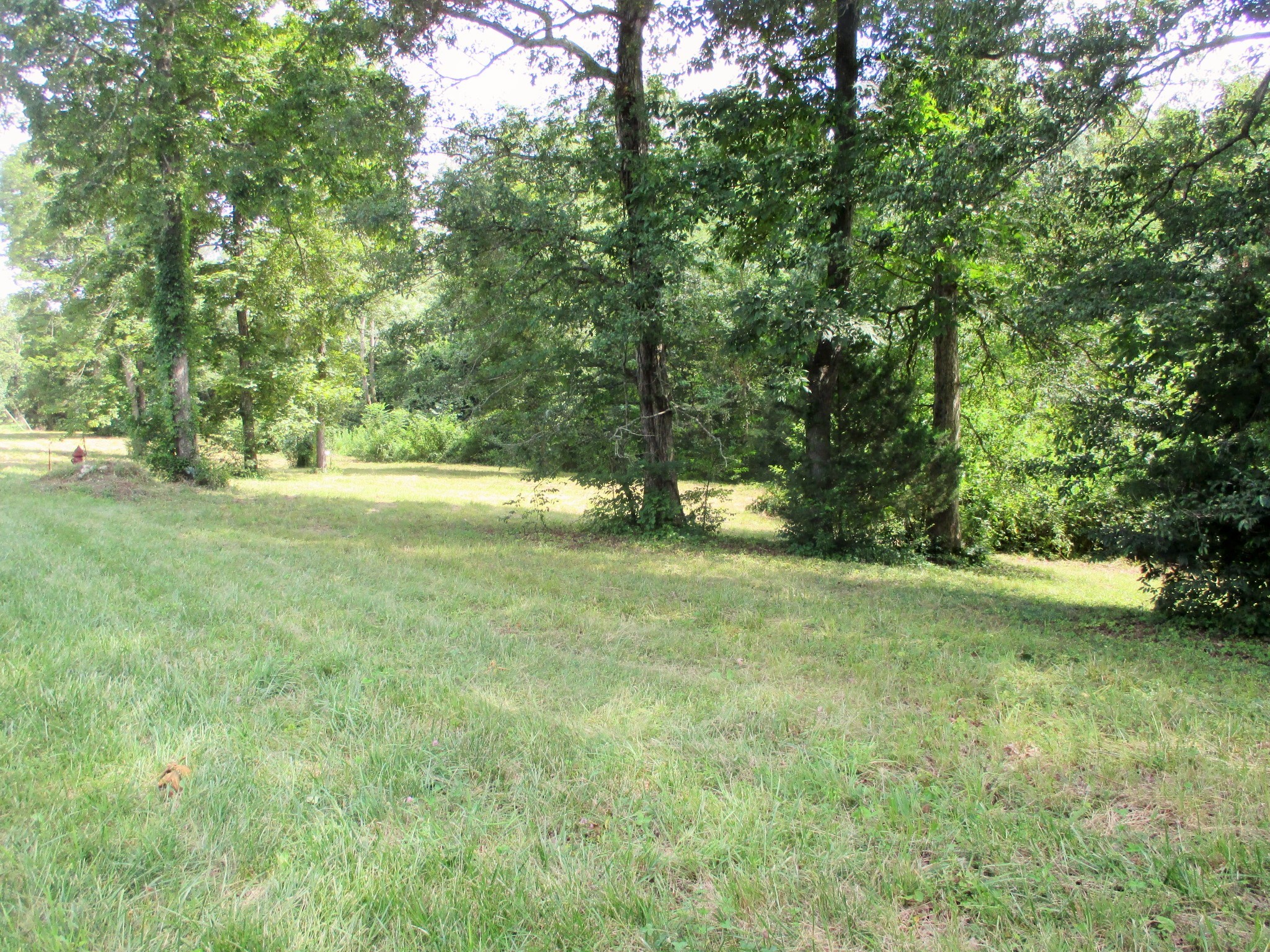 0 Spring Meadows Lane Morrison, TN 37357 - Photo 9 of 23 a view of outdoor space with trees all around